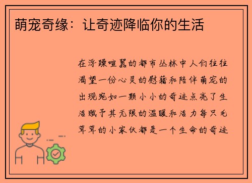 萌宠奇缘：让奇迹降临你的生活